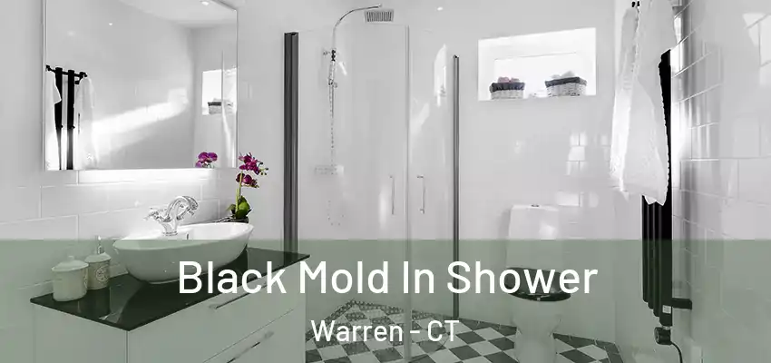 Black Mold In Shower Warren - CT
