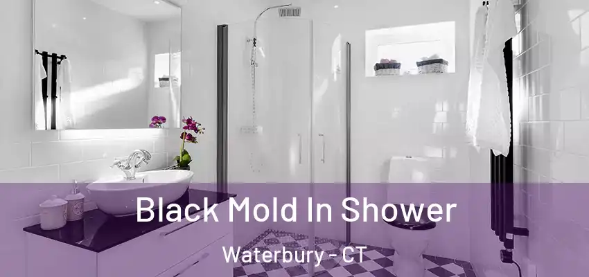 Black Mold In Shower Waterbury - CT
