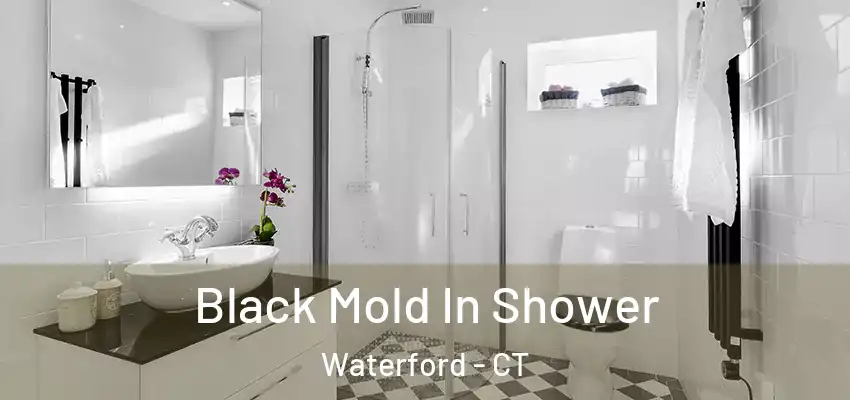  Black Mold In Shower Waterford - CT