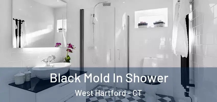 Black Mold In Shower West Hartford - CT