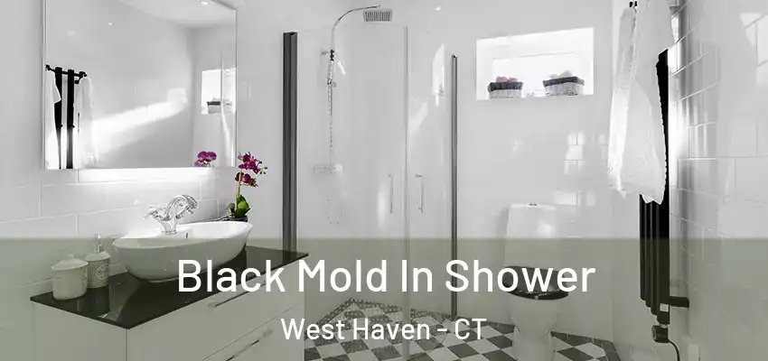 Black Mold In Shower West Haven - CT