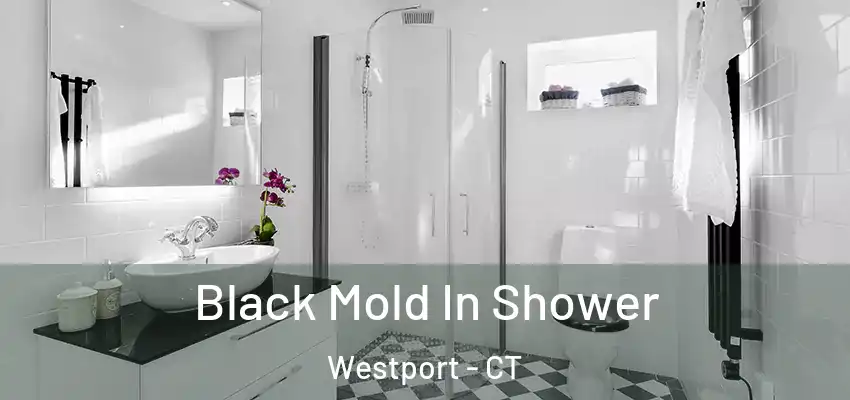 Black Mold In Shower Westport - CT