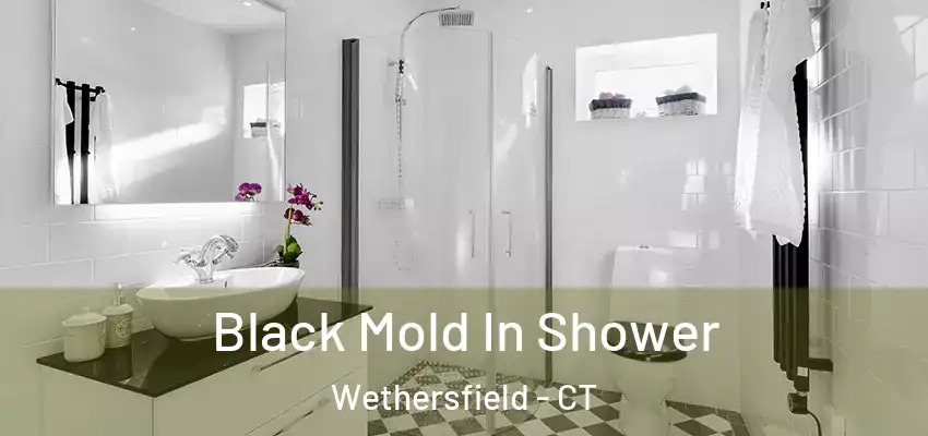 Black Mold In Shower Wethersfield - CT