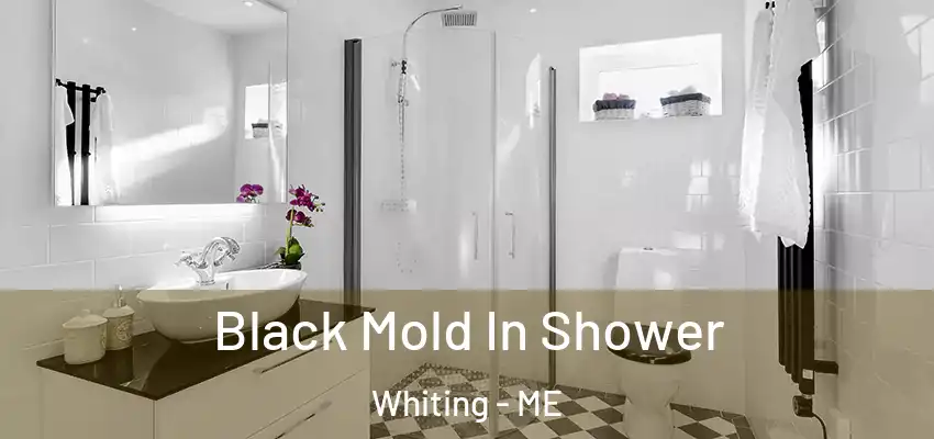 Black Mold In Shower Whiting - ME