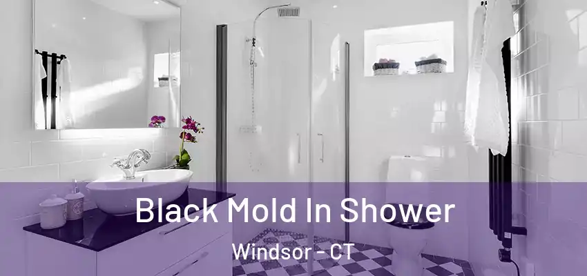  Black Mold In Shower Windsor - CT