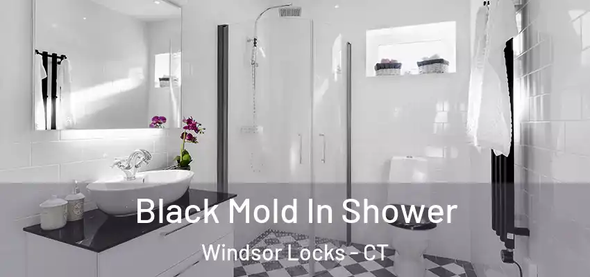  Black Mold In Shower Windsor Locks - CT