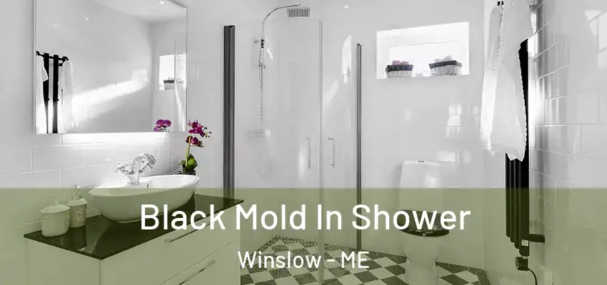 Black Mold In Shower Winslow - ME