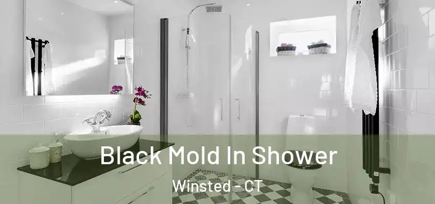  Black Mold In Shower Winsted - CT