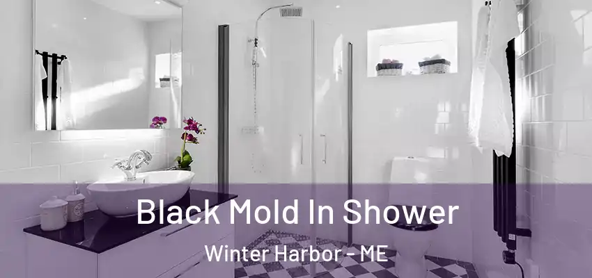 Black Mold In Shower Winter Harbor - ME