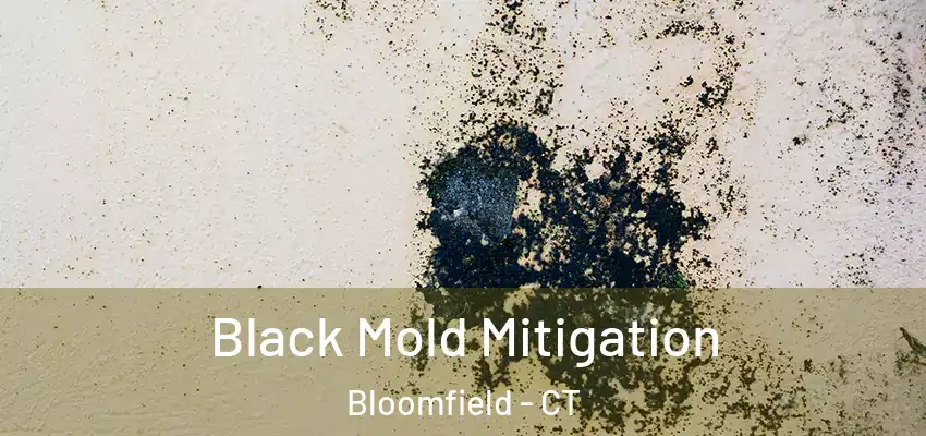 Black Mold Mitigation Bloomfield - CT