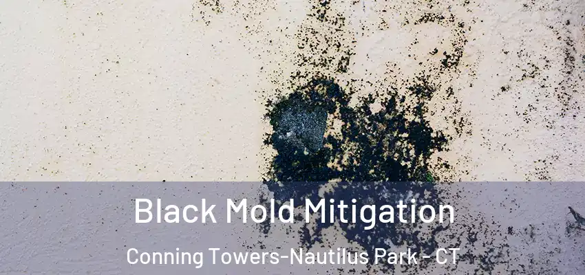  Black Mold Mitigation Conning Towers-Nautilus Park - CT