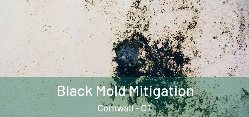 Black Mold Mitigation Cornwall - CT