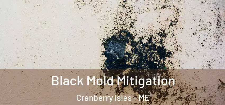 Black Mold Mitigation Cranberry Isles - ME