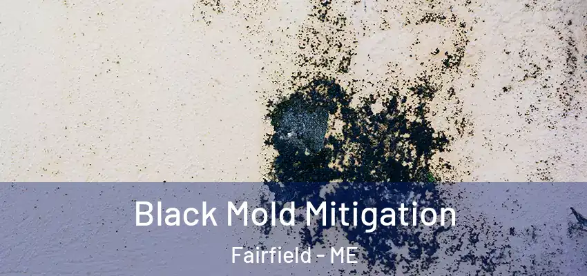 Black Mold Mitigation Fairfield - ME