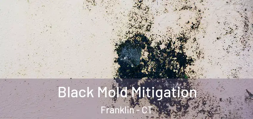 Black Mold Mitigation Franklin - CT
