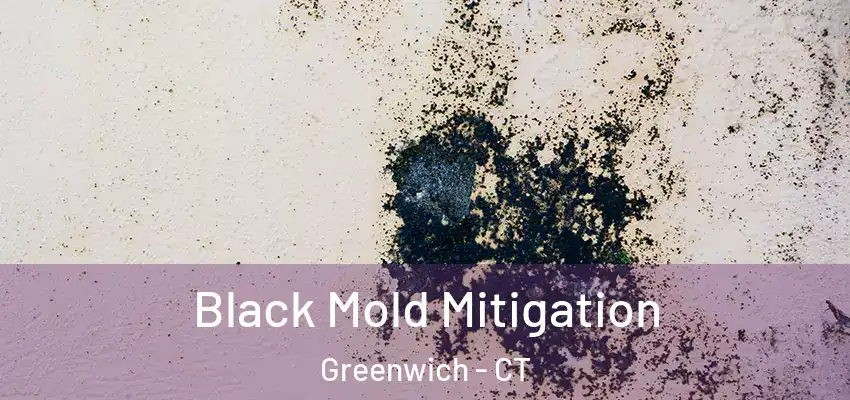 Black Mold Mitigation Greenwich - CT