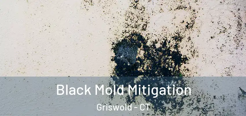 Black Mold Mitigation Griswold - CT