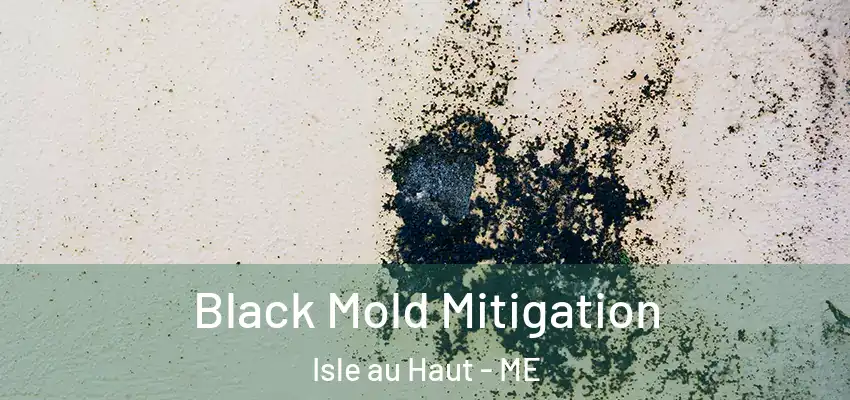 Black Mold Mitigation Isle au Haut - ME