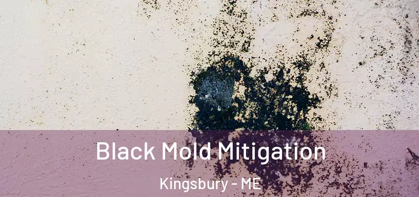 Black Mold Mitigation Kingsbury - ME