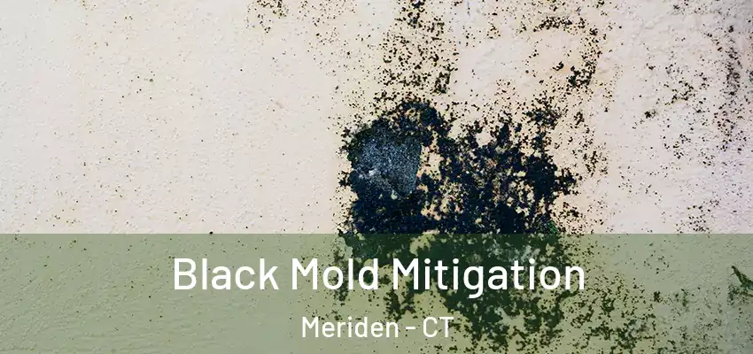 Black Mold Mitigation Meriden - CT