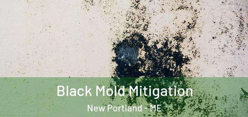 Black Mold Mitigation New Portland - ME