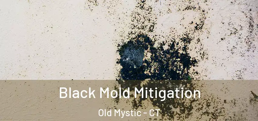 Black Mold Mitigation Old Mystic - CT