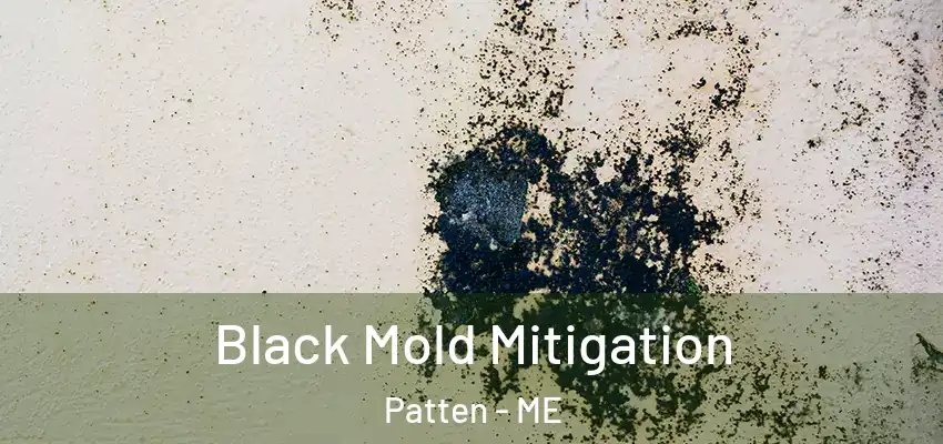 Black Mold Mitigation Patten - ME