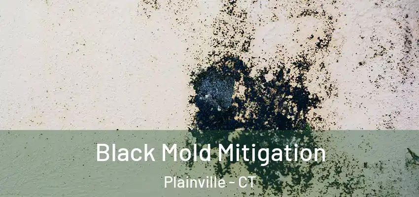 Black Mold Mitigation Plainville - CT