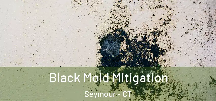 Black Mold Mitigation Seymour - CT