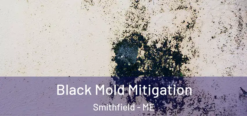 Black Mold Mitigation Smithfield - ME