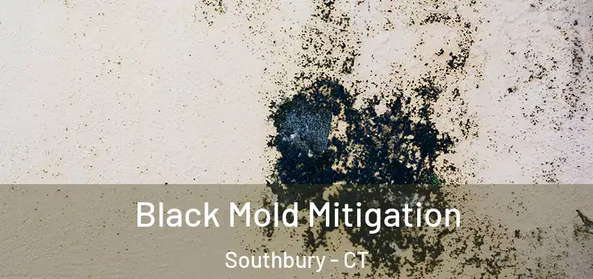  Black Mold Mitigation Southbury - CT