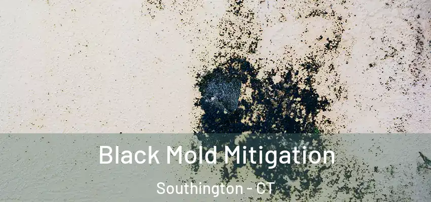  Black Mold Mitigation Southington - CT