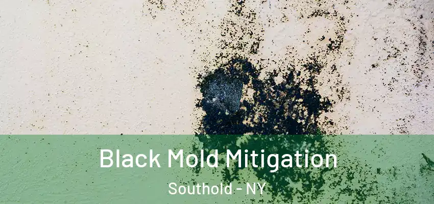 Black Mold Mitigation Southold - NY