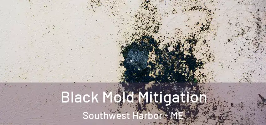 Black Mold Mitigation Southwest Harbor - ME