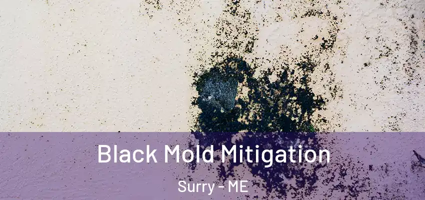 Black Mold Mitigation Surry - ME