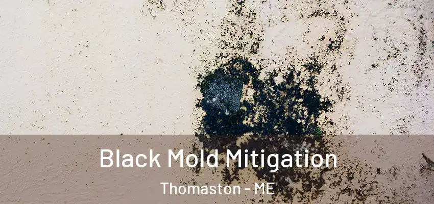 Black Mold Mitigation Thomaston - ME