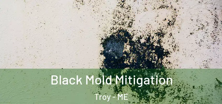 Black Mold Mitigation Troy - ME