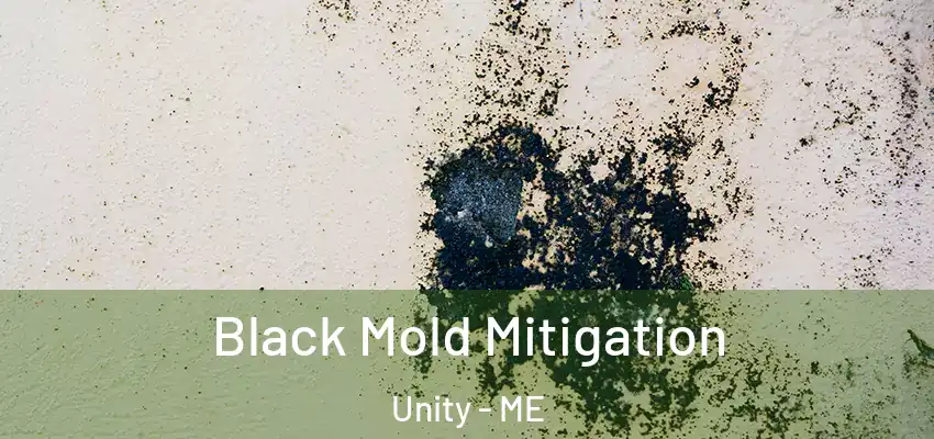 Black Mold Mitigation Unity - ME