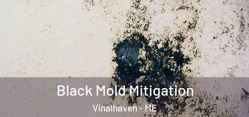 Black Mold Mitigation Vinalhaven - ME