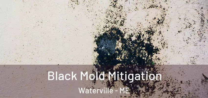 Black Mold Mitigation Waterville - ME