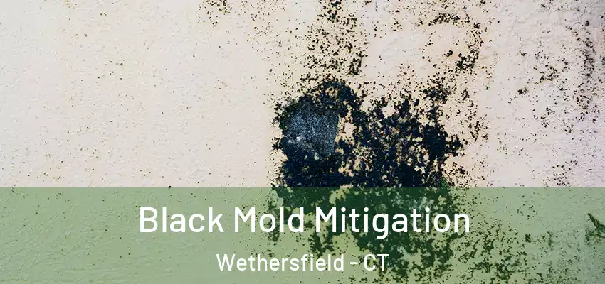 Black Mold Mitigation Wethersfield - CT