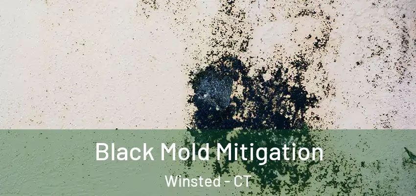 Black Mold Mitigation Winsted - CT