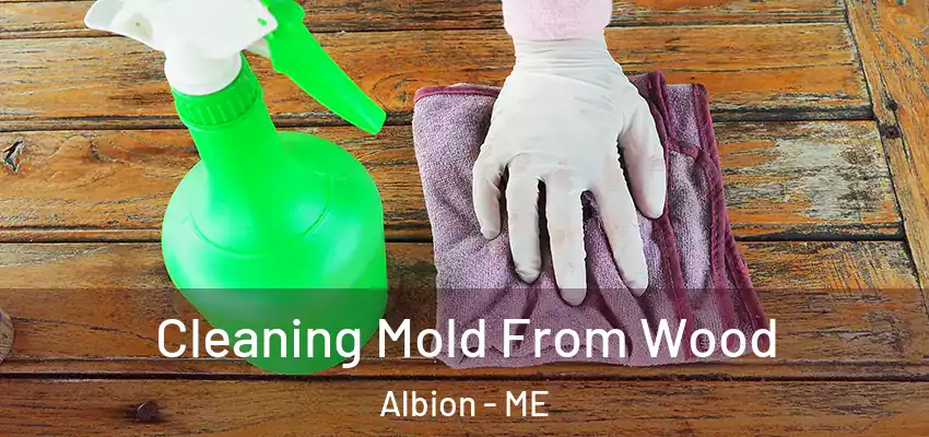  Cleaning Mold From Wood Albion - ME