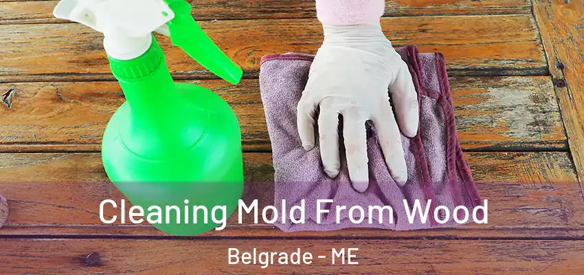  Cleaning Mold From Wood Belgrade - ME