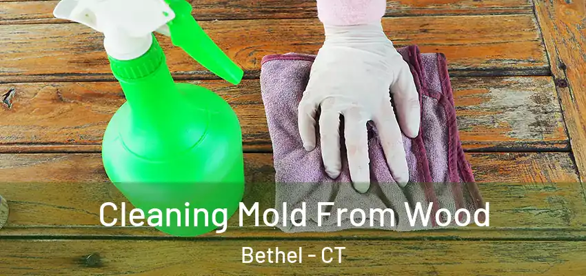 Cleaning Mold From Wood Bethel - CT
