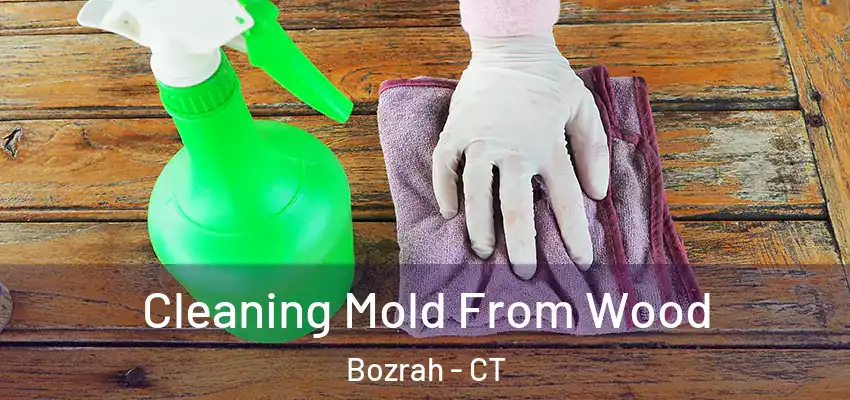  Cleaning Mold From Wood Bozrah - CT