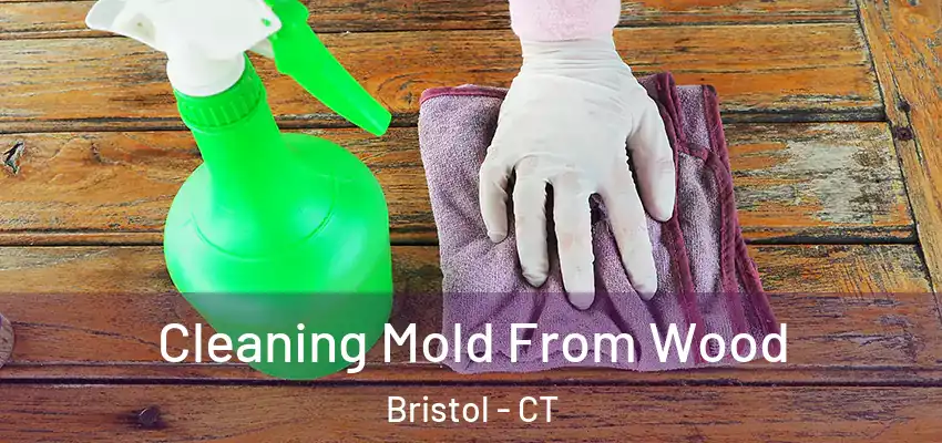  Cleaning Mold From Wood Bristol - CT