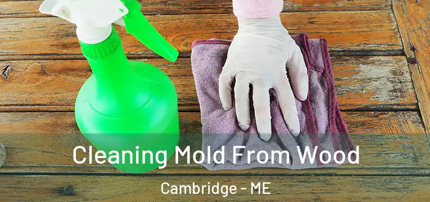  Cleaning Mold From Wood Cambridge - ME