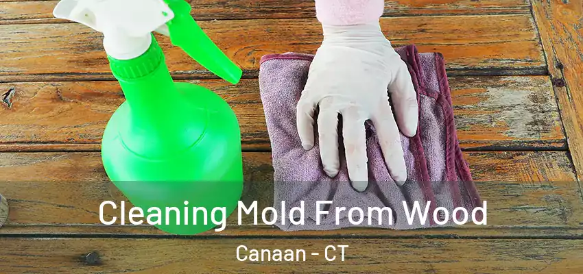  Cleaning Mold From Wood Canaan - CT