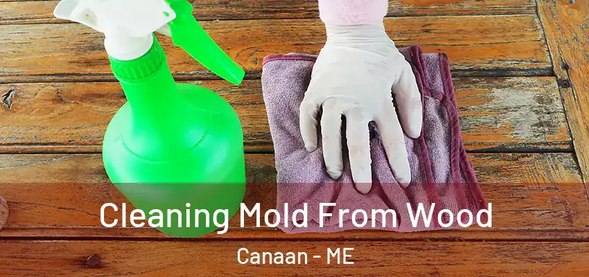  Cleaning Mold From Wood Canaan - ME